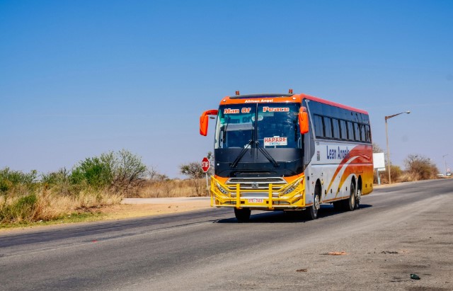Local Buses